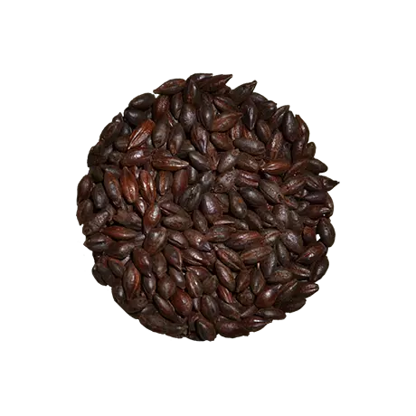 Csokoládé Maláta 1400 EBC